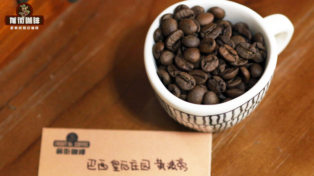 巴西皇后 巴西皇后