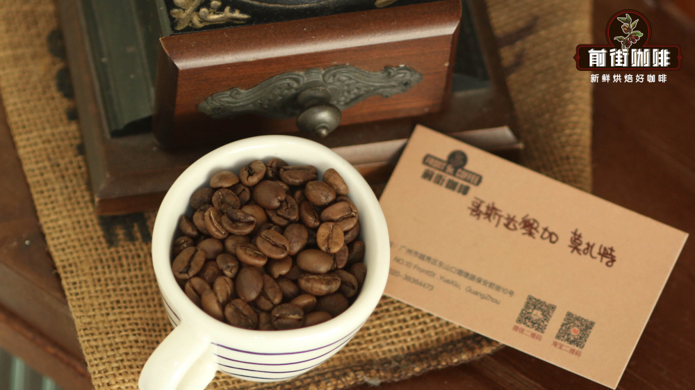莫扎特1 莫扎特1