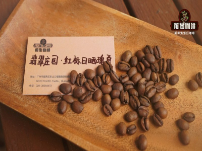 想给冰箱添一壶解渴果汁？看懂处理法把冰滴咖啡喝出微醺发酵甜