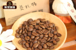 冰滴咖啡由来故事｜低温萃取的咖啡有哪些风味特点？哪些单品豆拼配豆适合制作冰滴咖啡？