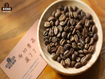 咖啡小白选豆指南｜刚开始喝手冲咖啡该买什么豆？手冲/意式萃取用的10款高性价比口粮咖啡豆推荐