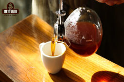 虹吸壺咖啡豆推薦｜虹吸壺萃取原理是什麼？哥斯達黎加音樂家系列莫札特單品豆做虹吸式咖啡好喝嗎？