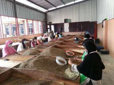 适合长期饮用的咖啡豆测评：新手怎样缩小范围