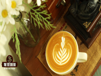 热带水果风味咖啡豆推荐：新手怎样缩小范围