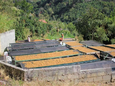 意式咖啡豆的选购指南：新手怎样缩小范围