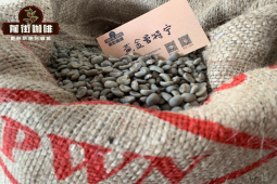 深烘咖啡豆冲泡参数｜印尼PWN黄金曼特宁咖啡豆做手冲咖啡对粉水比研磨度水温萃取时间有何要求？