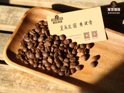 单一产地浓缩咖啡｜新手入门SOE咖啡怎么选豆子才好喝？高人气风味独特的SOE单品浓缩咖啡豆推荐