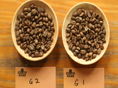 咖啡生豆等级介绍｜各国咖啡生豆等级分级制度G1、G2、AA、PB、SHB咖啡豆特点区别风味口感对比