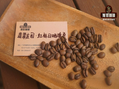 喝印尼咖啡像喝中药？教你分清草本和黑巧，顺便把味觉雷达练出来