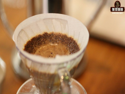 商用咖啡豆怎么选：新手怎样缩小范围
