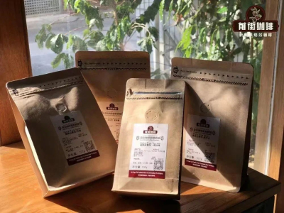 烘焙咖啡豆品牌｜初学者入门买的咖啡豆还是咖啡粉？资深咖啡爱好者选择的咖啡品牌有哪些推荐