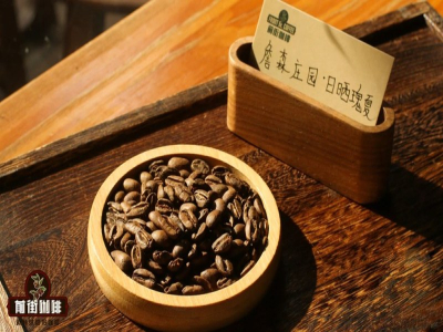迷恋成熟果甜还是偏爱清透茶感？读懂处理法轻松挑到本命手冲豆