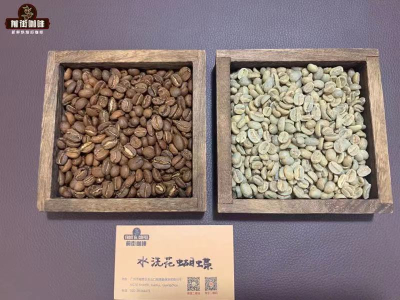 夏天喝冰咖啡怎么看懂风味轮？教你边喝边练感官挑出心头好！