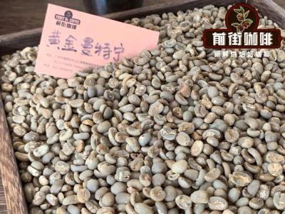 浓缩油脂看风味：从可可厚感到果香明亮