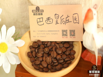 摩卡壶选豆指南：从明亮果香到浓郁可可