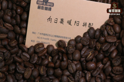 耶加雪菲SOE｜soe咖啡是什么？SOE指的是单品豆吗？soe豆与拼配咖啡豆口感特点区别有哪些？
