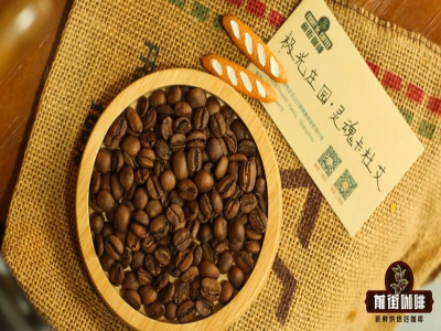 如何看懂耶加雪菲咖啡豆的信息：新手怎样缩小范围