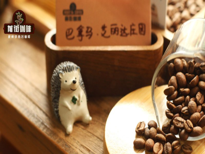 美式黑咖啡豆推荐：新手怎样缩小范围