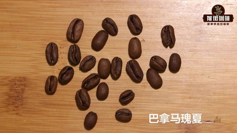 巴拿马瑰夏